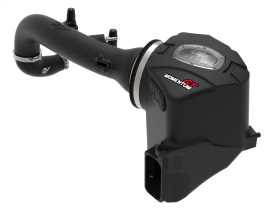 Momentum GT Pro DRY S Air Intake System 50-70042D